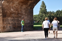 DSC_0003-1