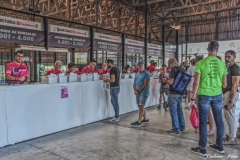 DSC_6743-1