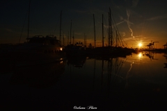 DSC_3059-1