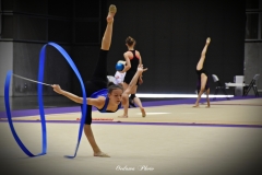 DSC_8395-1