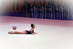 DSC_8737-1