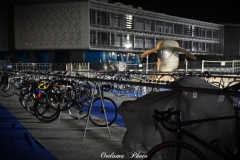 DSC_9154-1