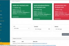 4_herramienta_analisis_web_2