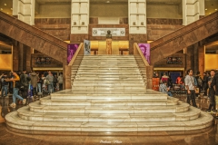 DSC_8010-1