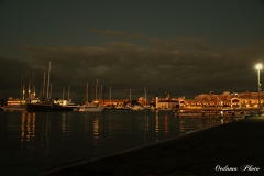 DSC_6469-1