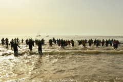 DSC_9445-1