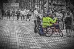DSC_6528-1